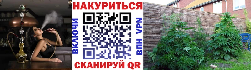 МАРИХУАНА индика  Красноармейск 
